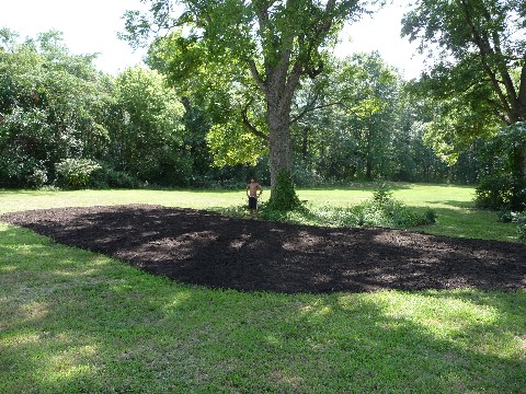 Mulching Pecans with Compost Watkinsville 018 Medium Web view.jpg